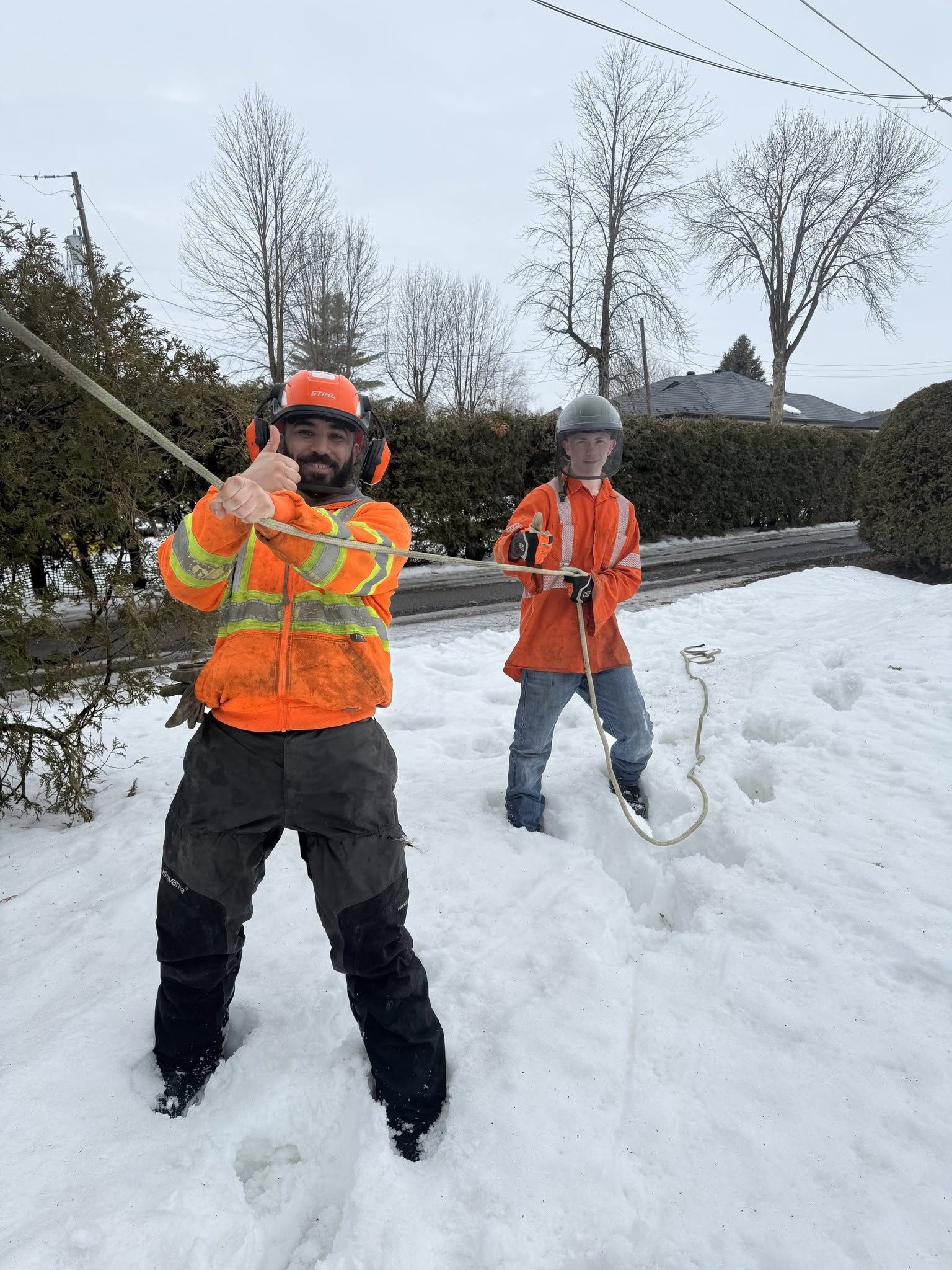 Équipe de Service D'arbre A1 sur un chantier