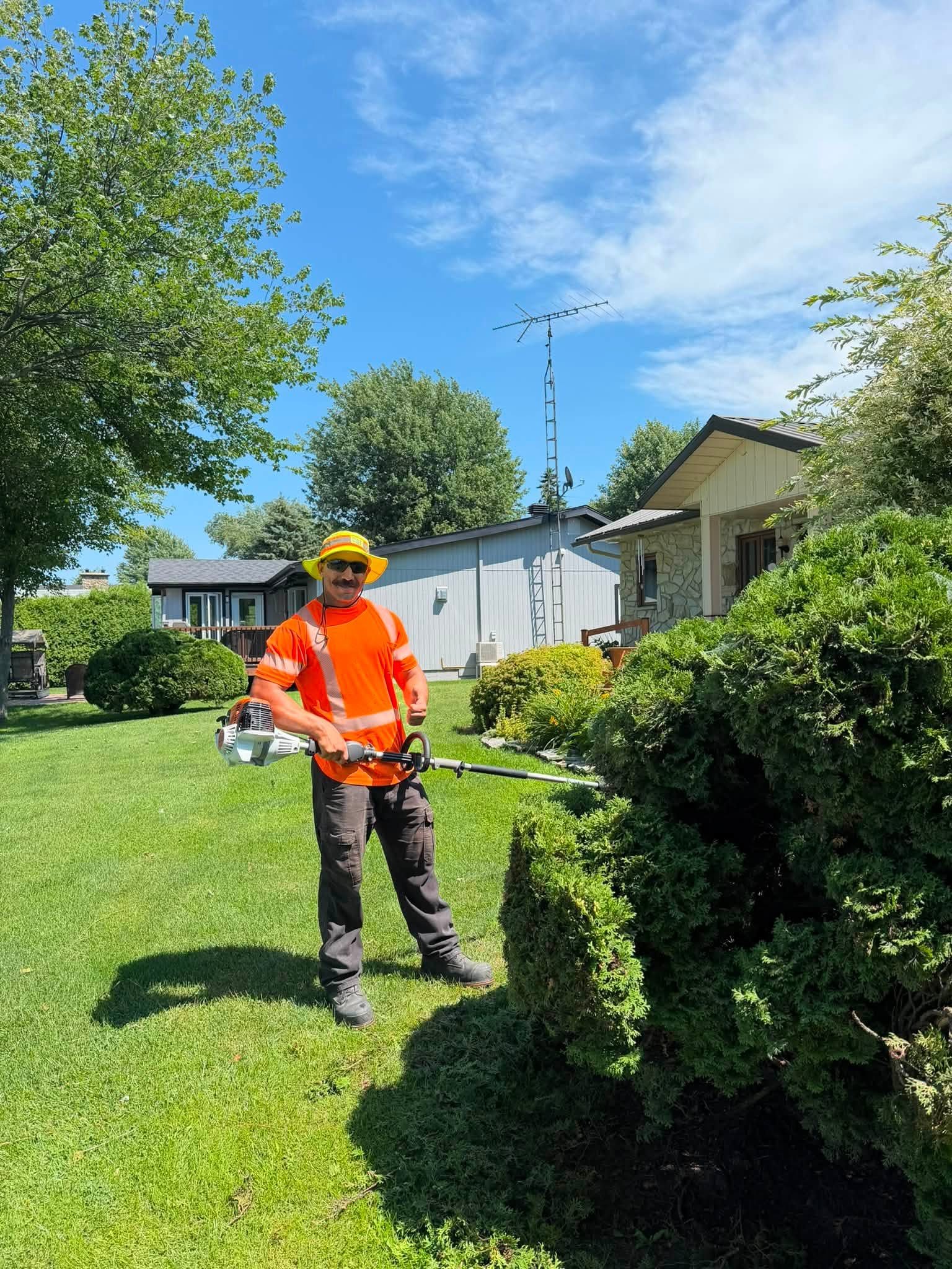 Équipe professionnelle en action